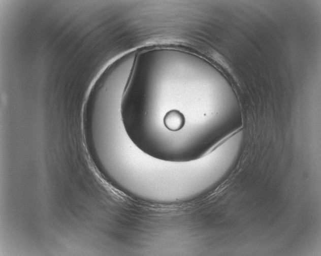 X0000064761124200603031752