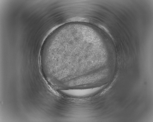 X0000064761125200603031752