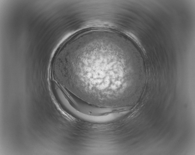 X0000064761128200603031752