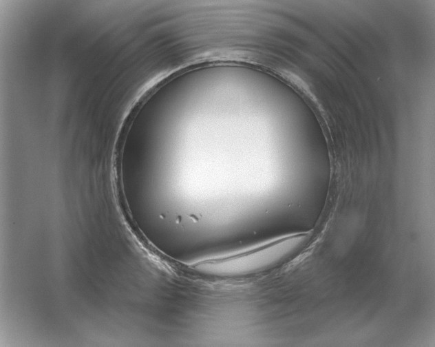 X0000064761133200603031752