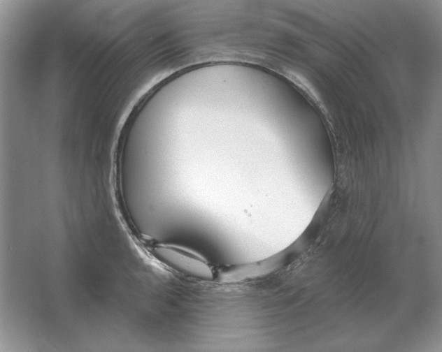 X0000064761136200603031752