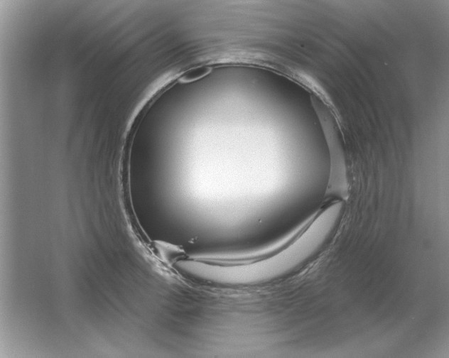X0000064761138200603031752