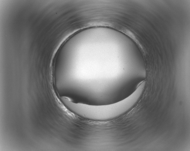 X0000064761140200603031752