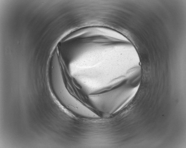 X0000064761142200603031752