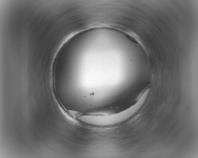 X0000064761143200603031752