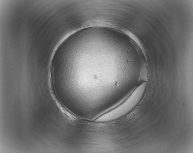 X0000064761144200603031752