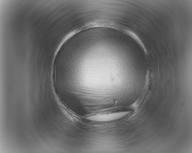 X0000064761146200603031753