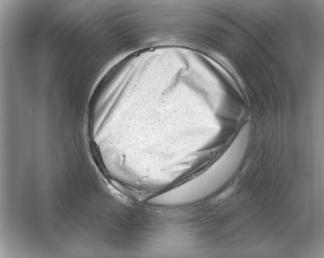 X0000064761149200603031753