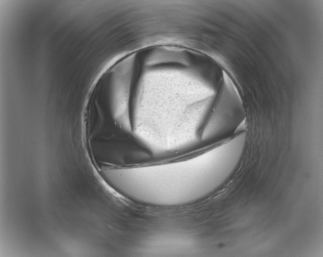 X0000064761151200603031753