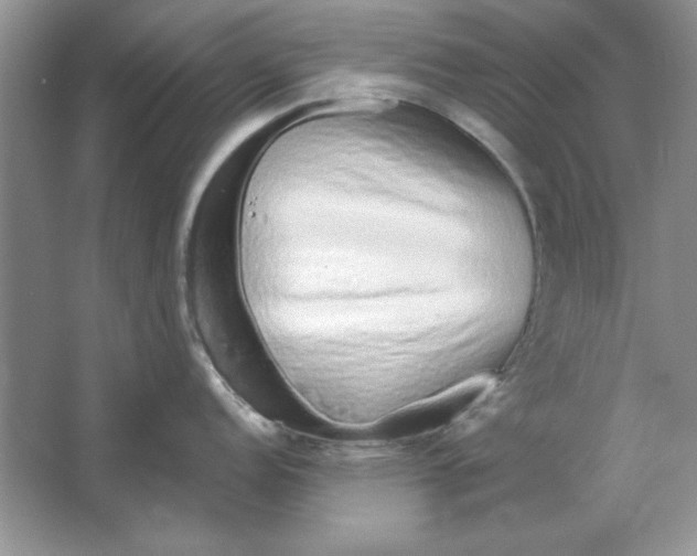 X0000064761152200603031753