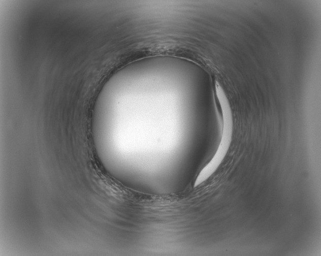 X0000064761153200603031752