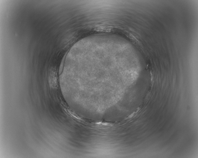 X0000064761154200603031752
