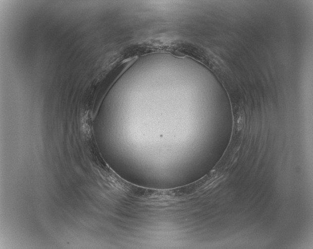 X0000064761156200603031752