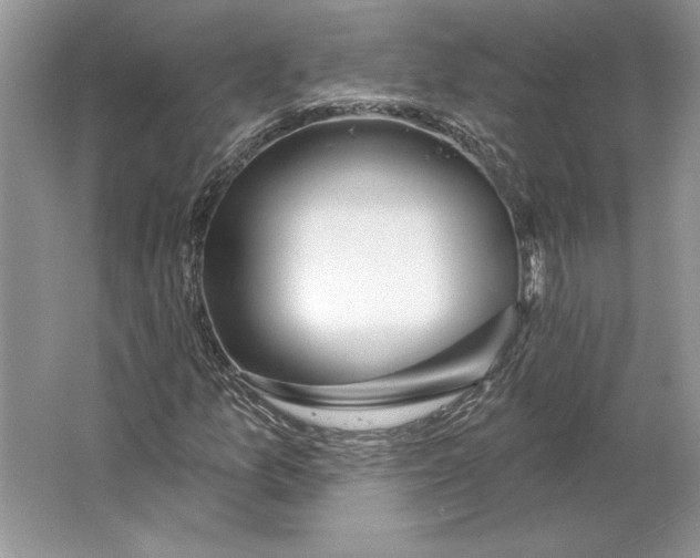 X0000064761157200603031752