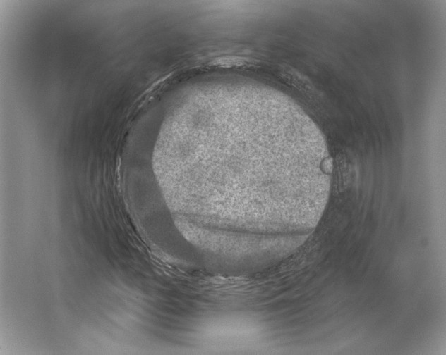 X0000064761158200603031752