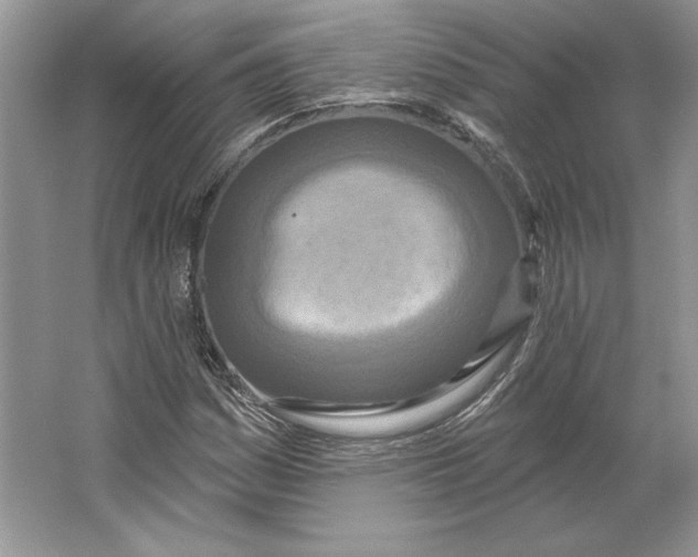 X0000064761161200603031752