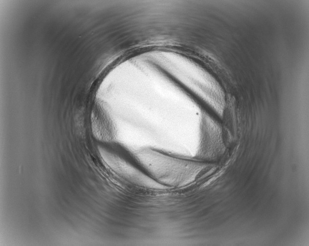 X0000064761162200603031752