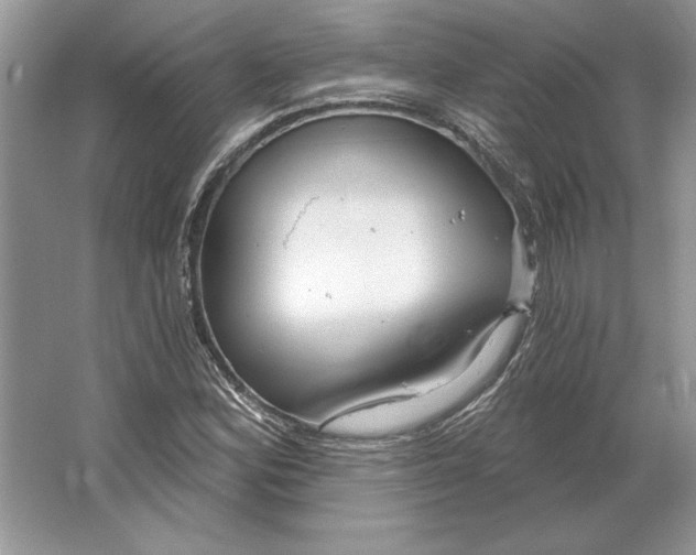 X0000064761164200603031752