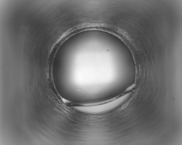 X0000064761165200603031752