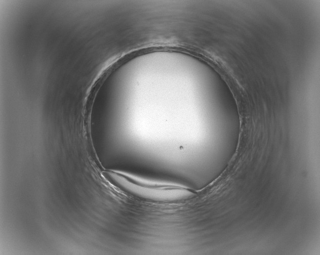X0000064761168200603031752