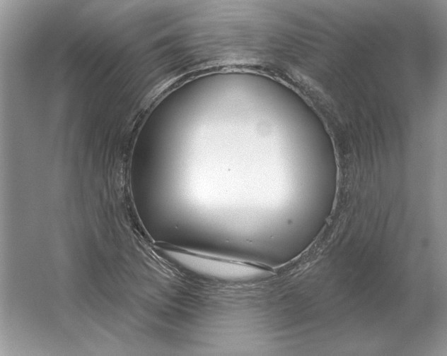 X0000064761169200603031752
