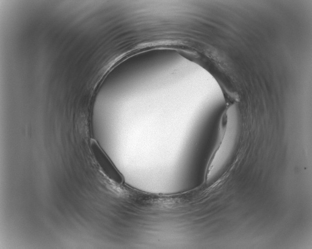 X0000064761177200603031751