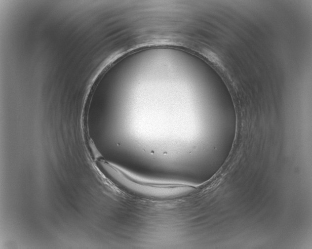 X0000064761181200603031751