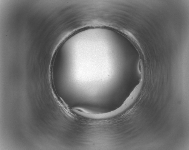 X0000064761183200603031751