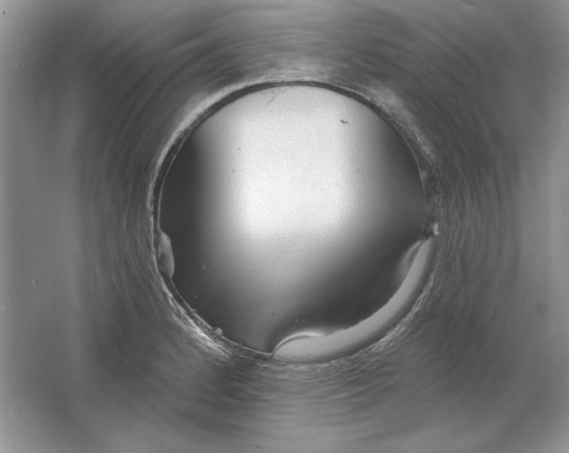 X0000064761184200603031751