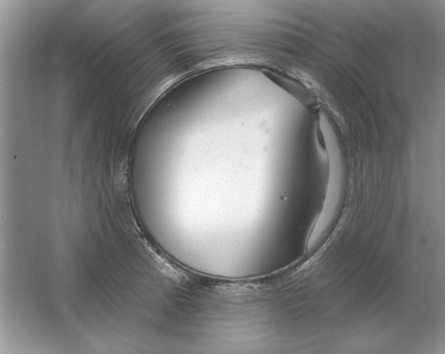 X0000064761185200603031751