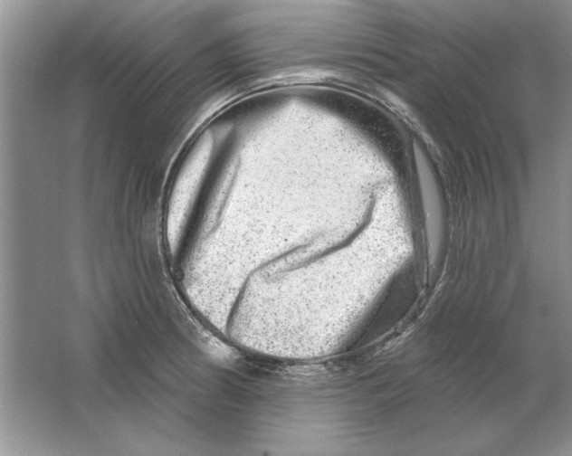 X0000064761186200603031751