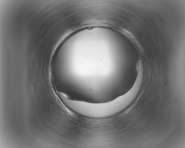 X0000064761188200603031751