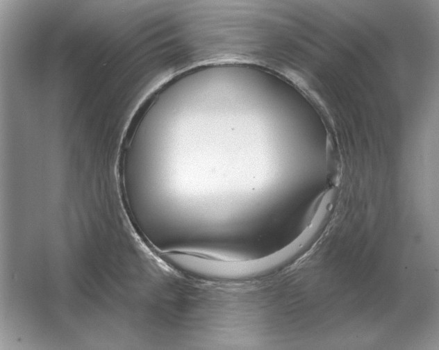 X0000064761189200603031751