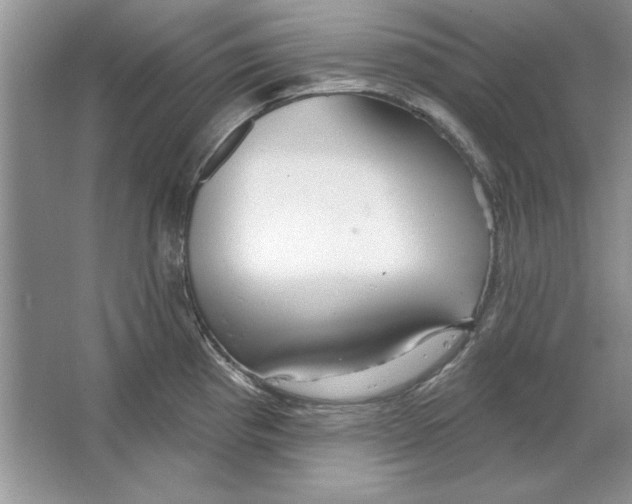X0000064761193200603031751