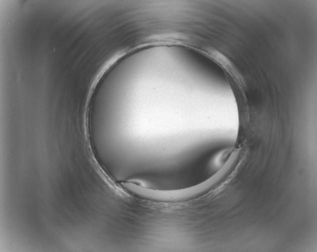 X0000064761196200603031751