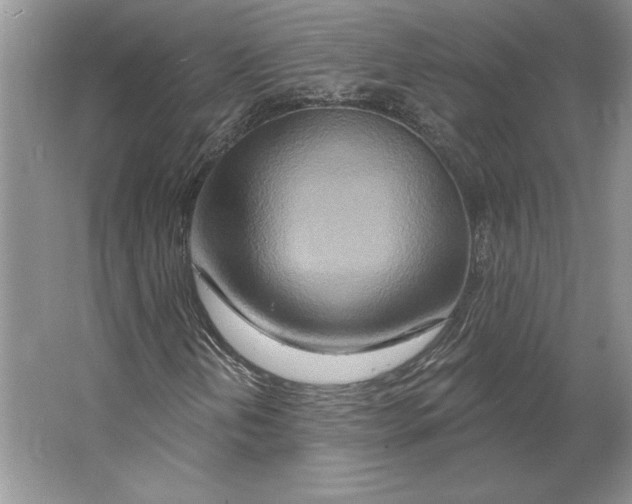 X0000064761202200603031750