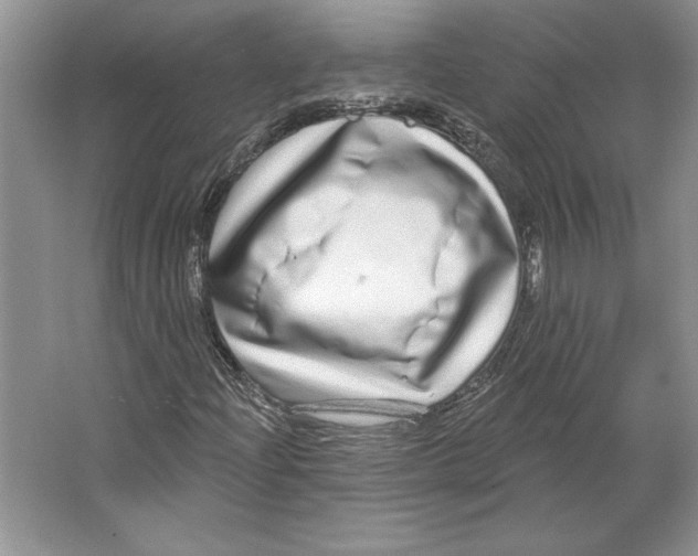 X0000064761204200603031750