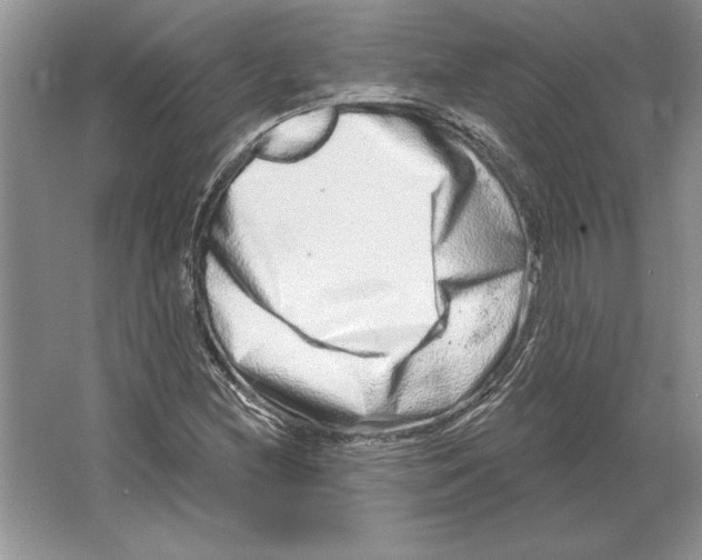 X0000064761212200603031750