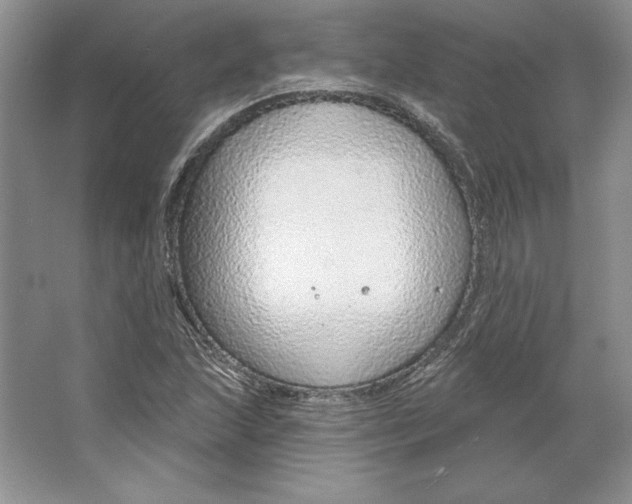 X0000064761215200603031750