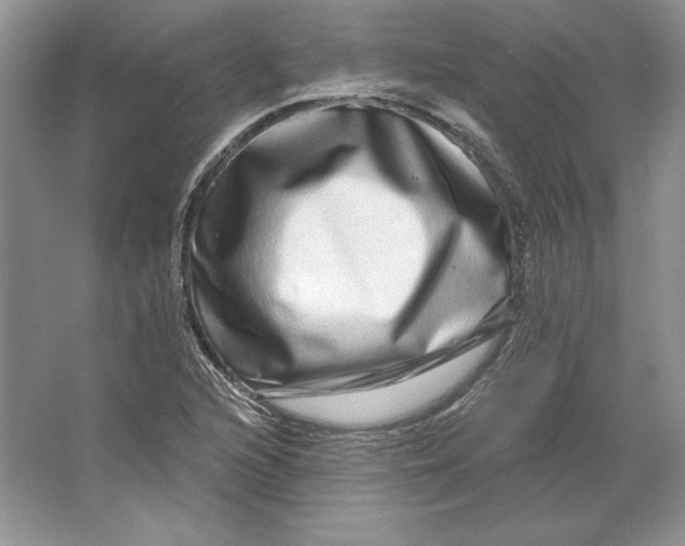 X0000064761216200603031750