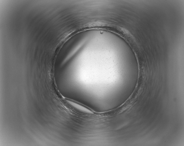 X0000064761217200603031750