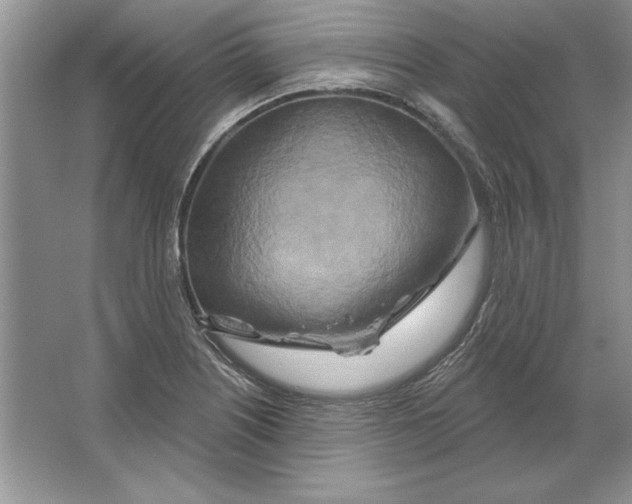 X0000064761226200603031751