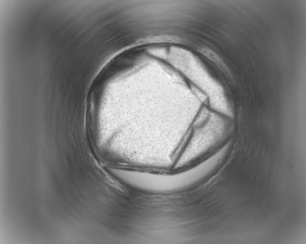 X0000064761228200603031751
