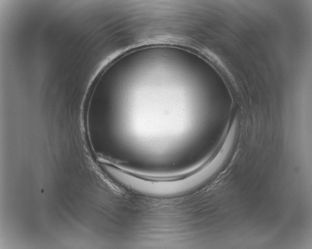 X0000064761230200603031751