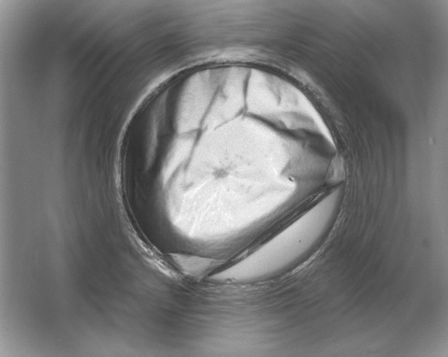 X0000064761232200603031751