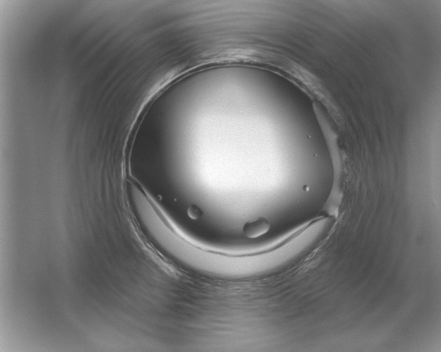 X0000064761234200603031751