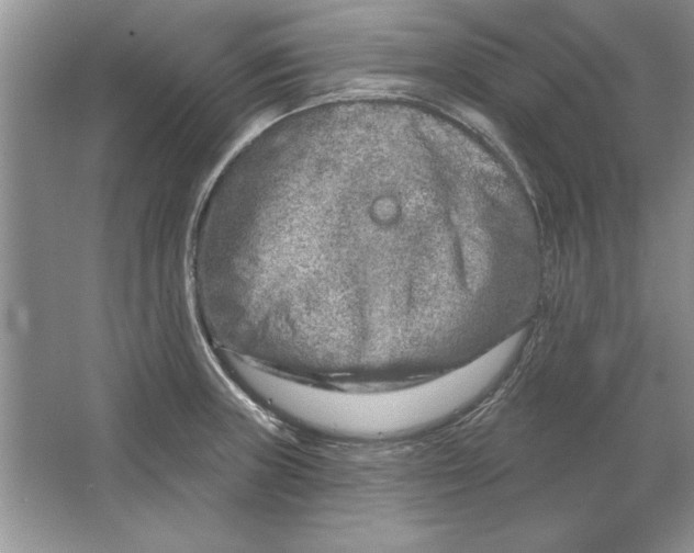 X0000064761235200603031751