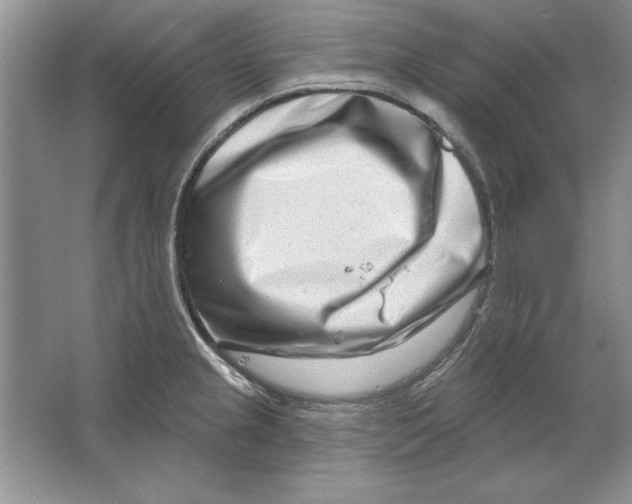 X0000064761237200603031751