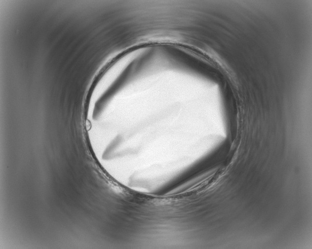 X0000064761240200603031751