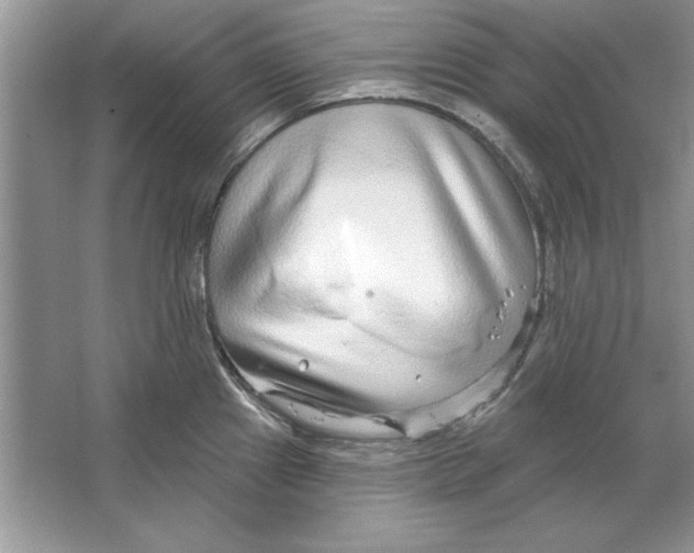 X0000064761241200603031751